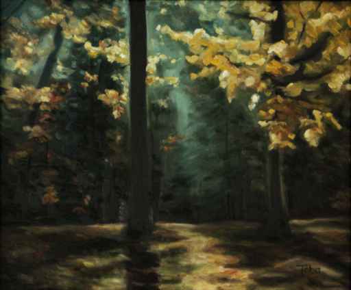 Forest at Thanksgiving